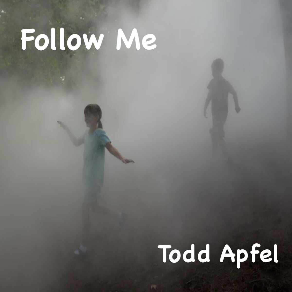 Album cover of Follow Me