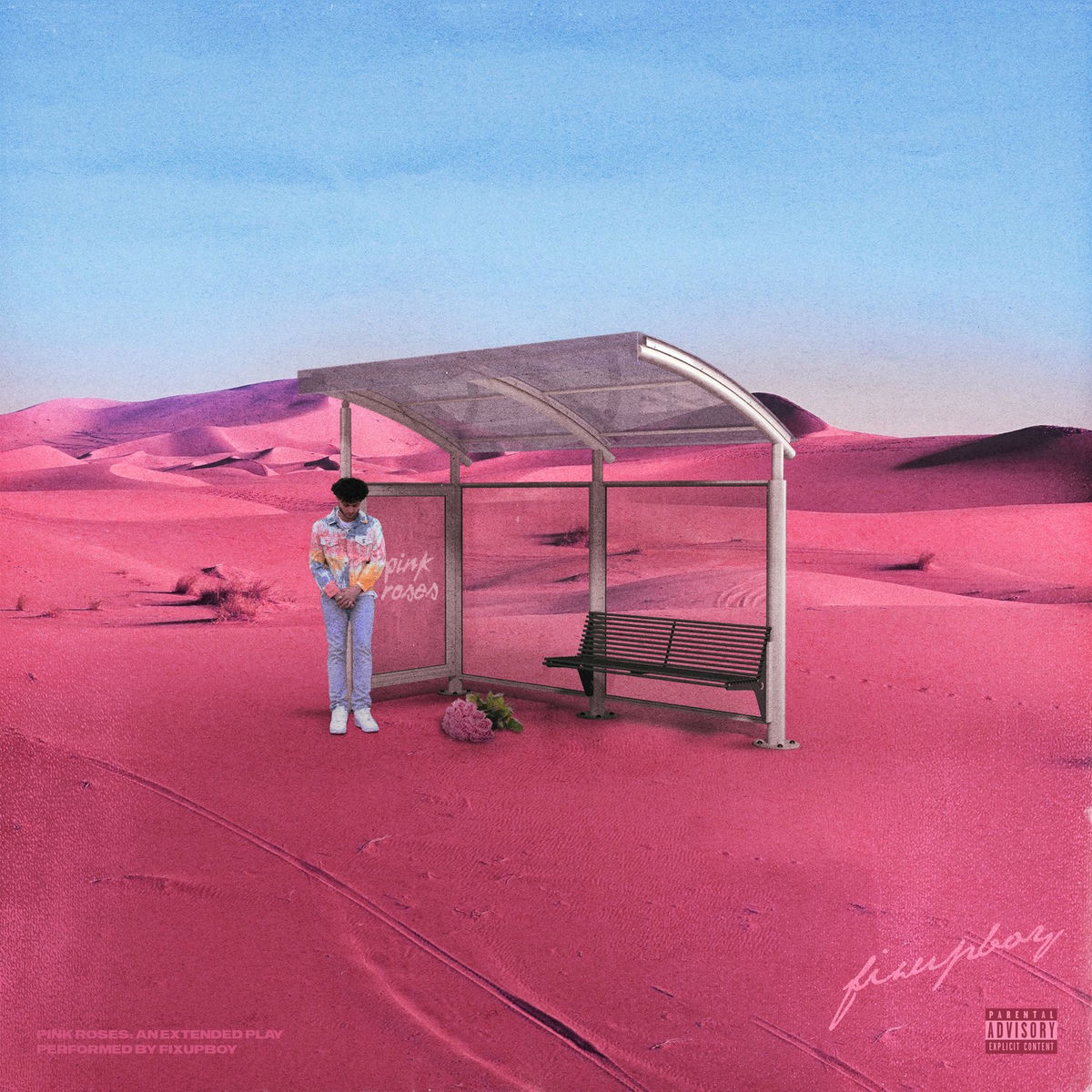 Album cover of Pink Roses