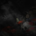 Dark Night
