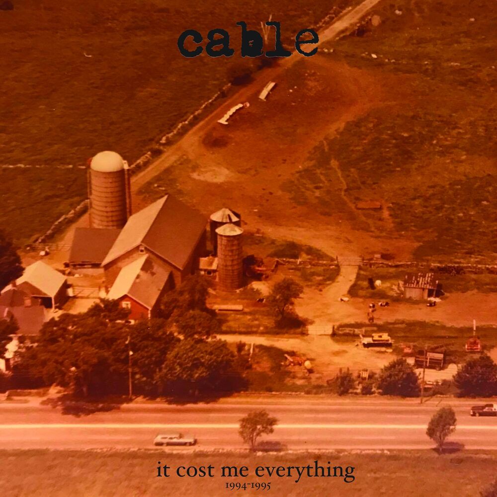Picture of It Cost Me Everything 1994-1995