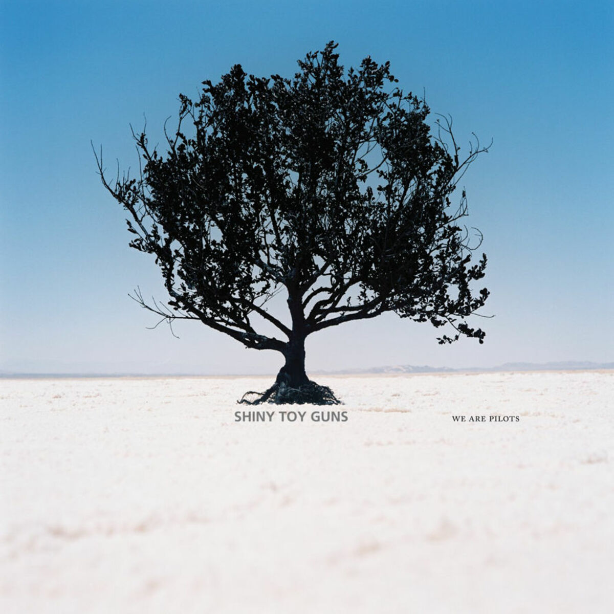 Album cover of You Are The One