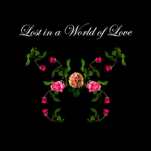 Lost in a World of Love sleeve