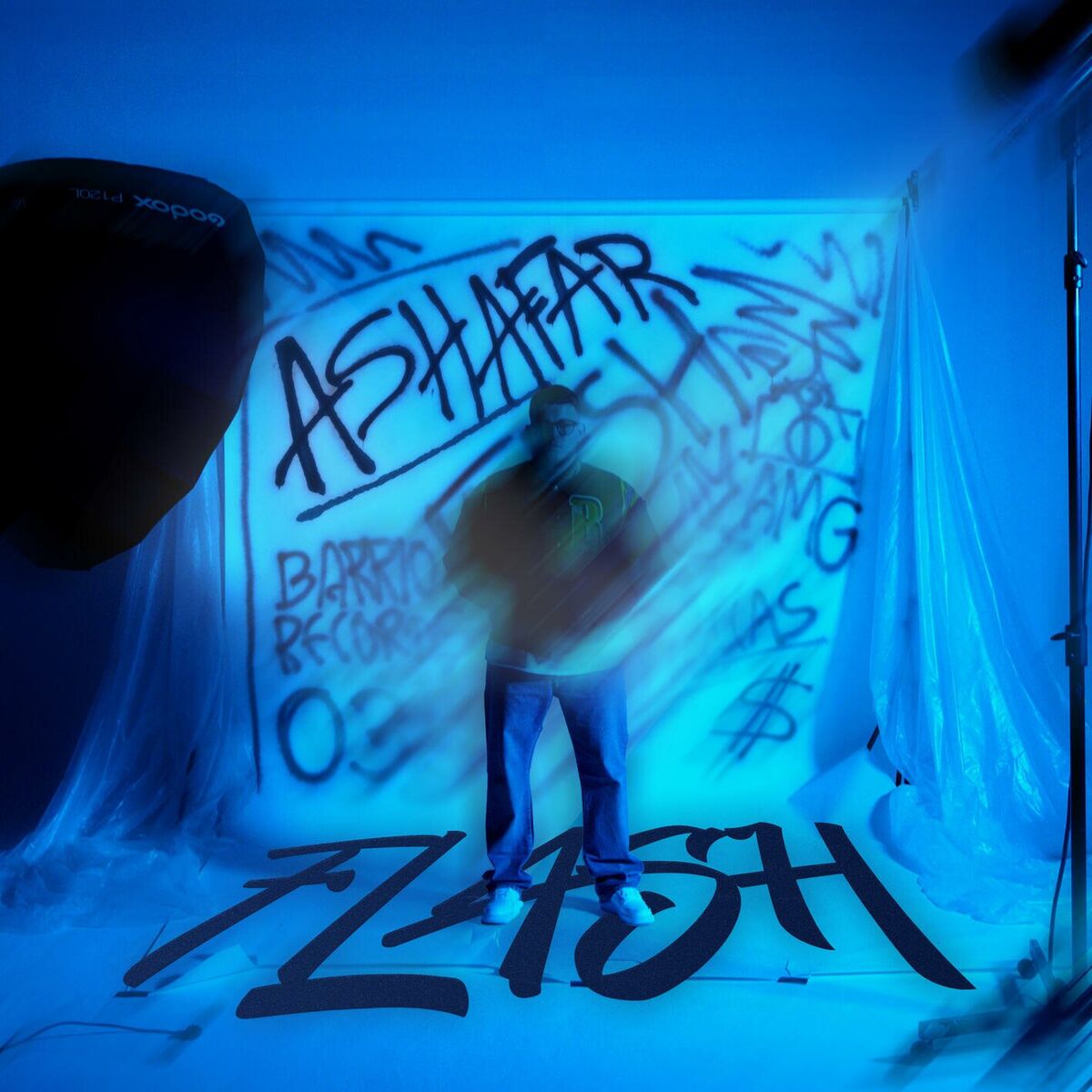 Album cover of FLASH