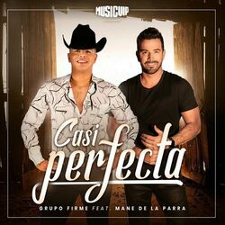 Cover of Casi Perfecta