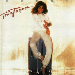 Cover of Rough