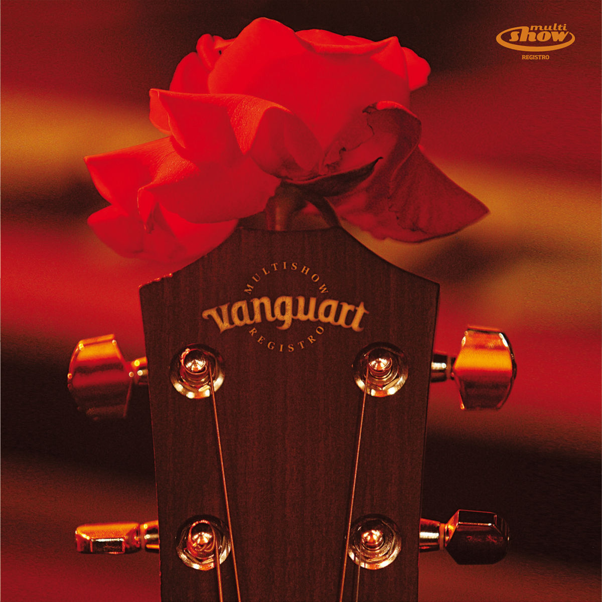 Album cover of Multishow Registro - Vanguart