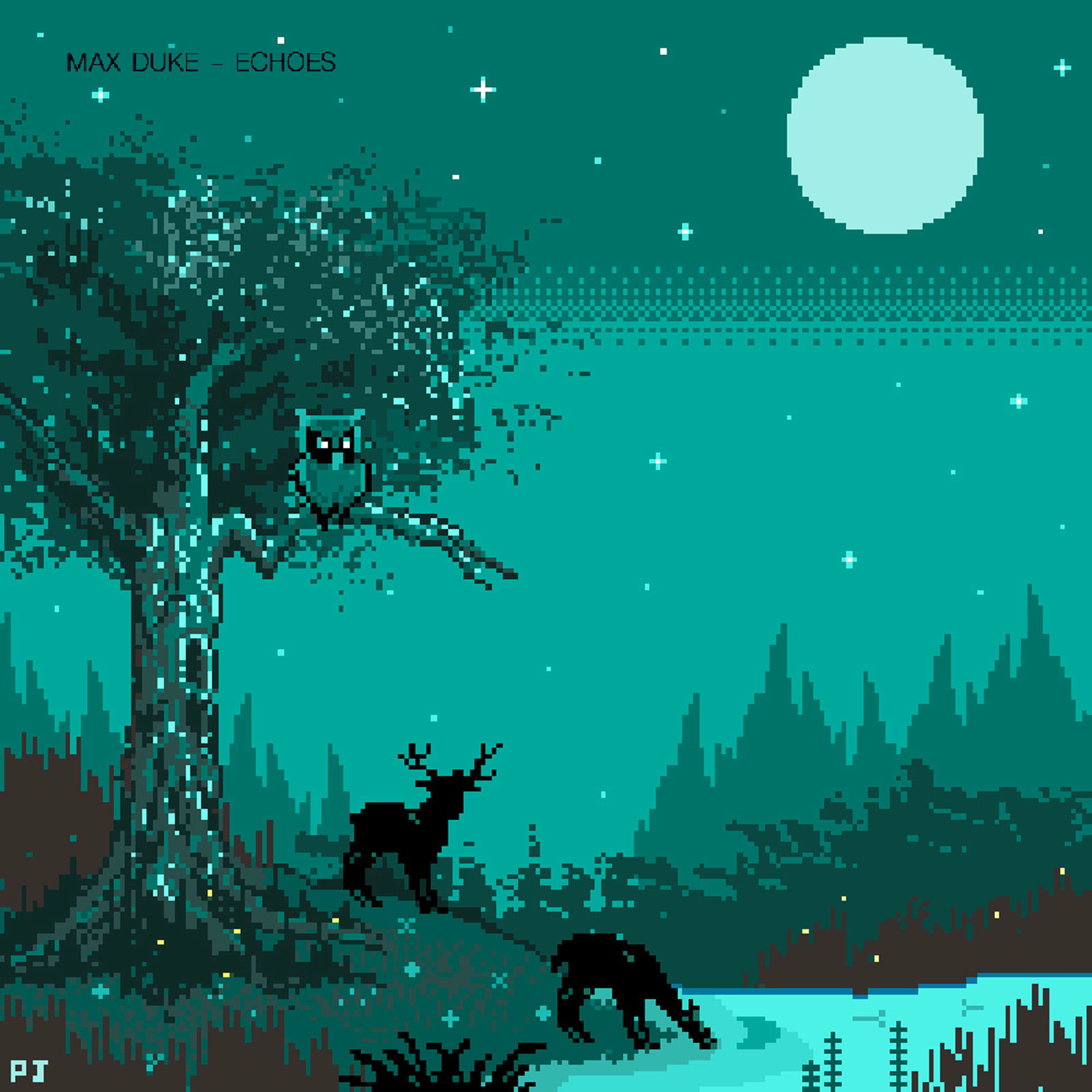 Album cover of Echoes