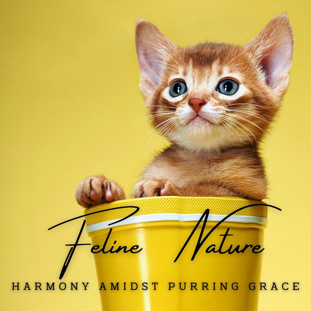 Picture of Piano Whisker Serenades: Feline Nature Harmonies