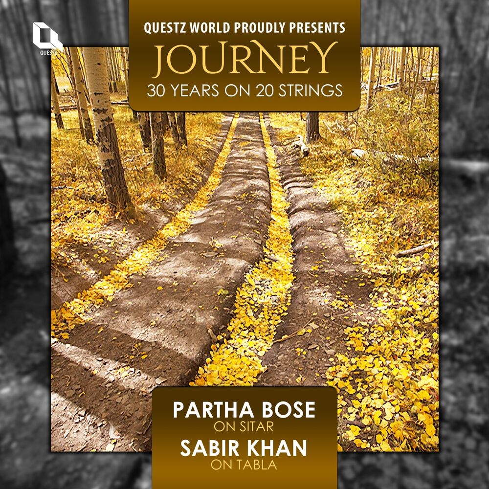 Picture of Journey : 30 Years On 20 Strings (Indian Classical Sitar)