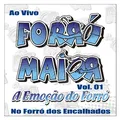 Caminhoneiro Solitário - FORRÓ MAIOR