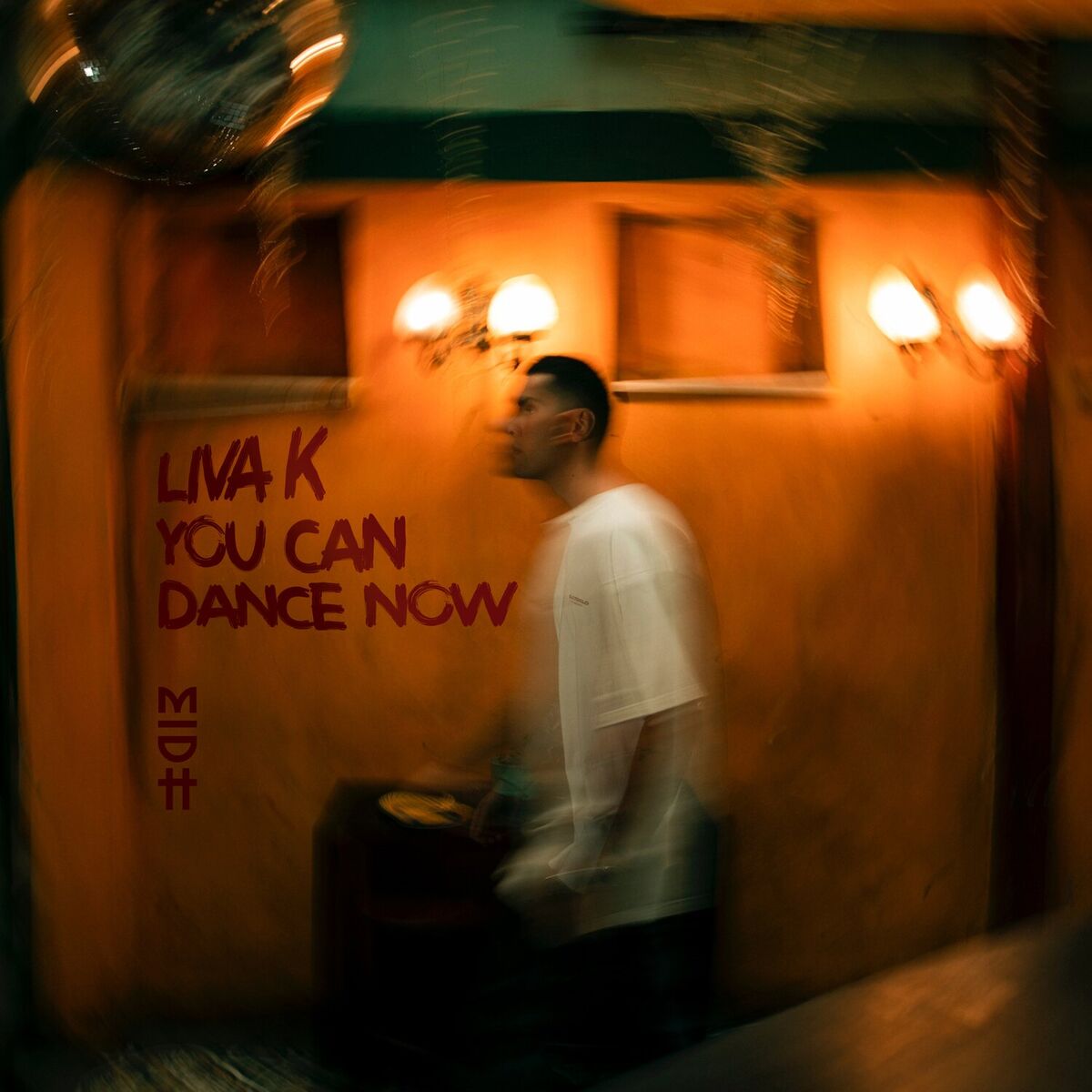 Album cover of You Can Dance Now