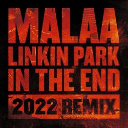 Cover of In the End (2022 Remix)