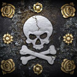 Cover of Skull n Bones