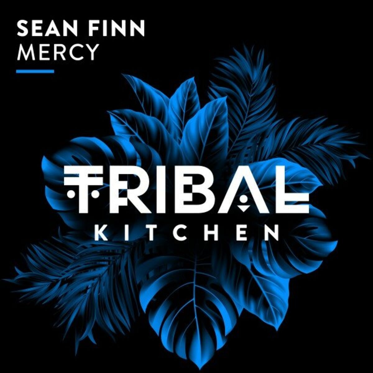 Album cover of Mercy