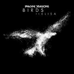 Cover of Birds