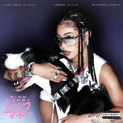 Pochette album