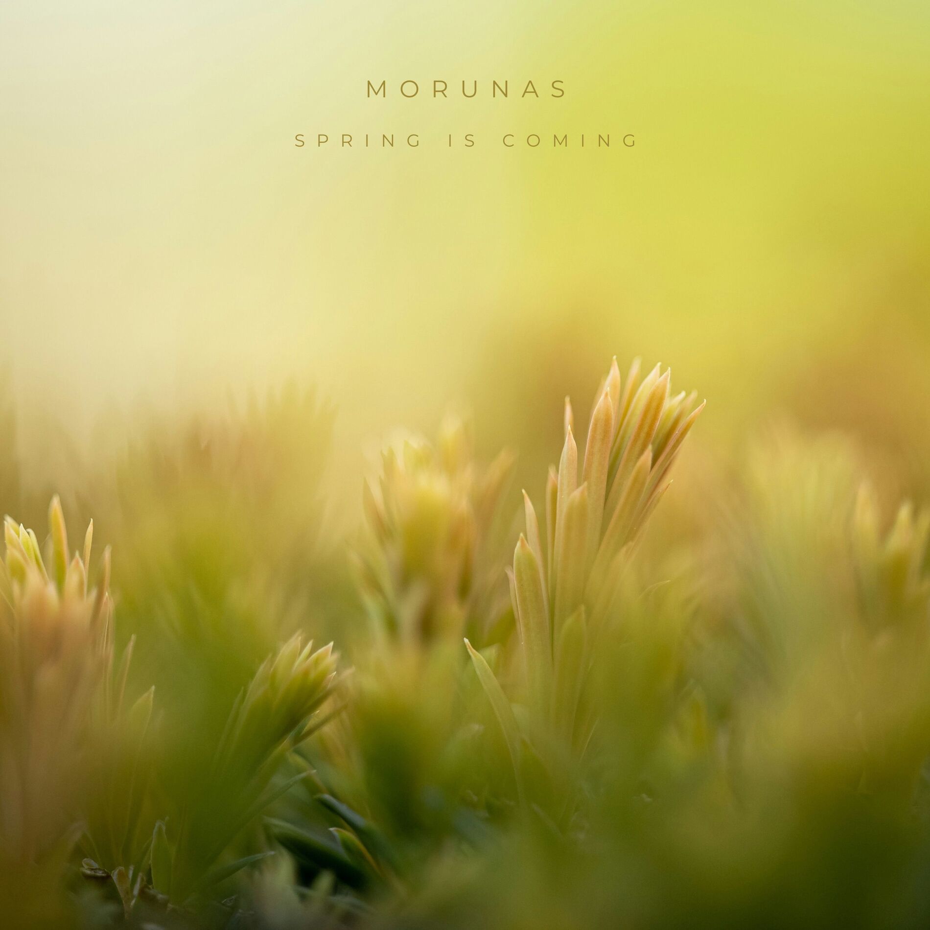 Album cover of Spring is Coming