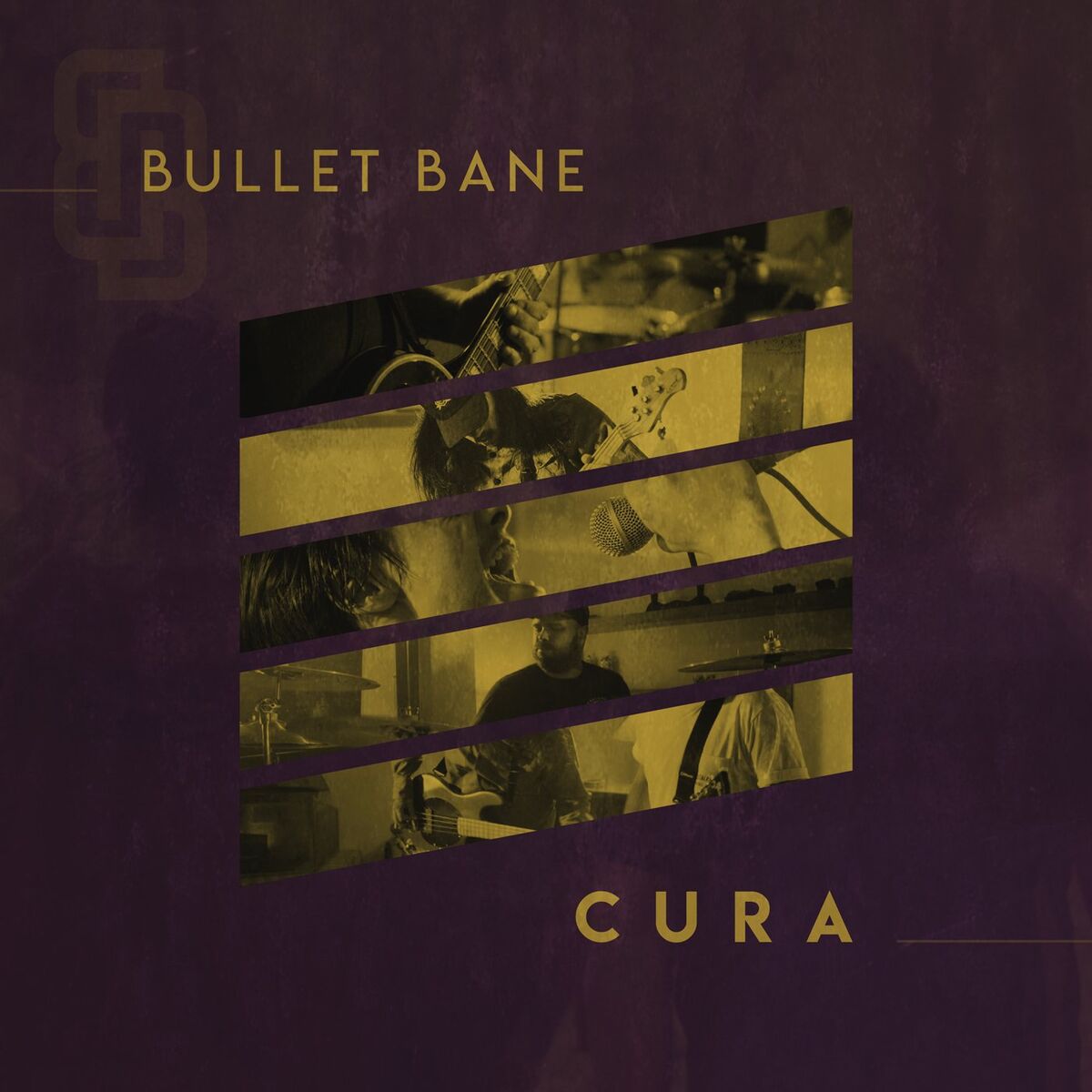 Album cover of Cura