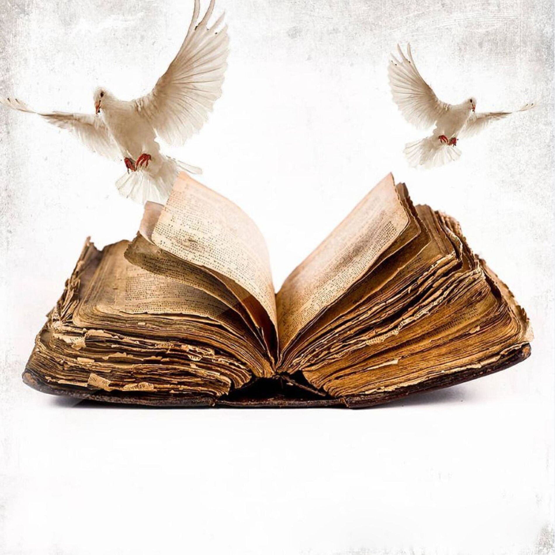 Album cover of Forever Never