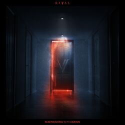 Cover of Sleepwalking