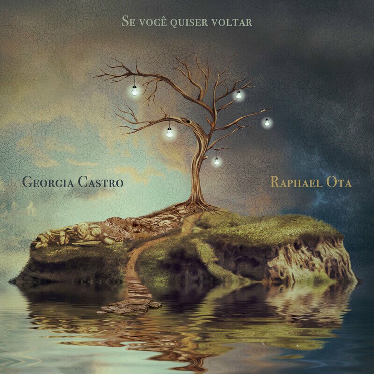 Album cover of Se Você Quiser Voltar