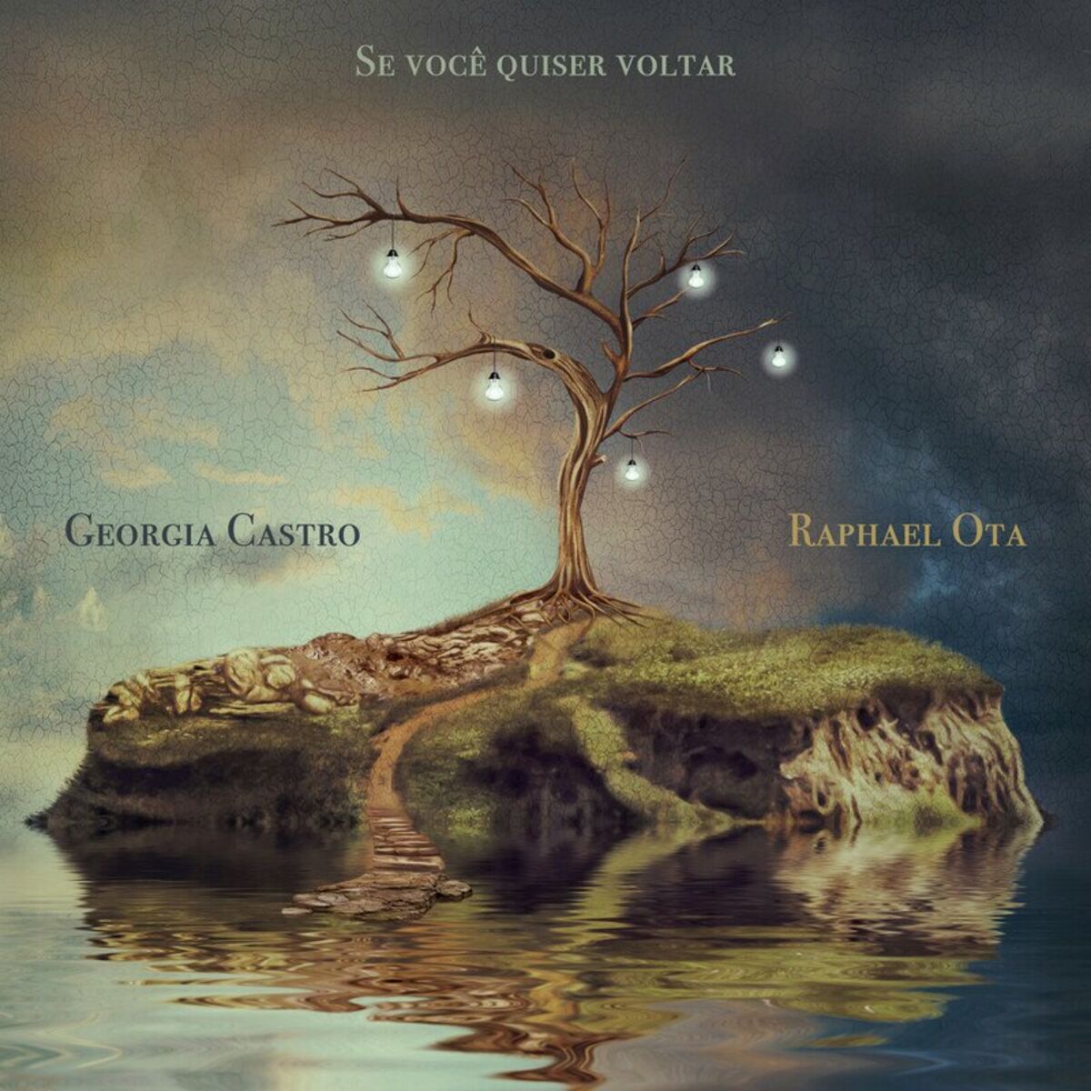 Album cover of Se Você Quiser Voltar