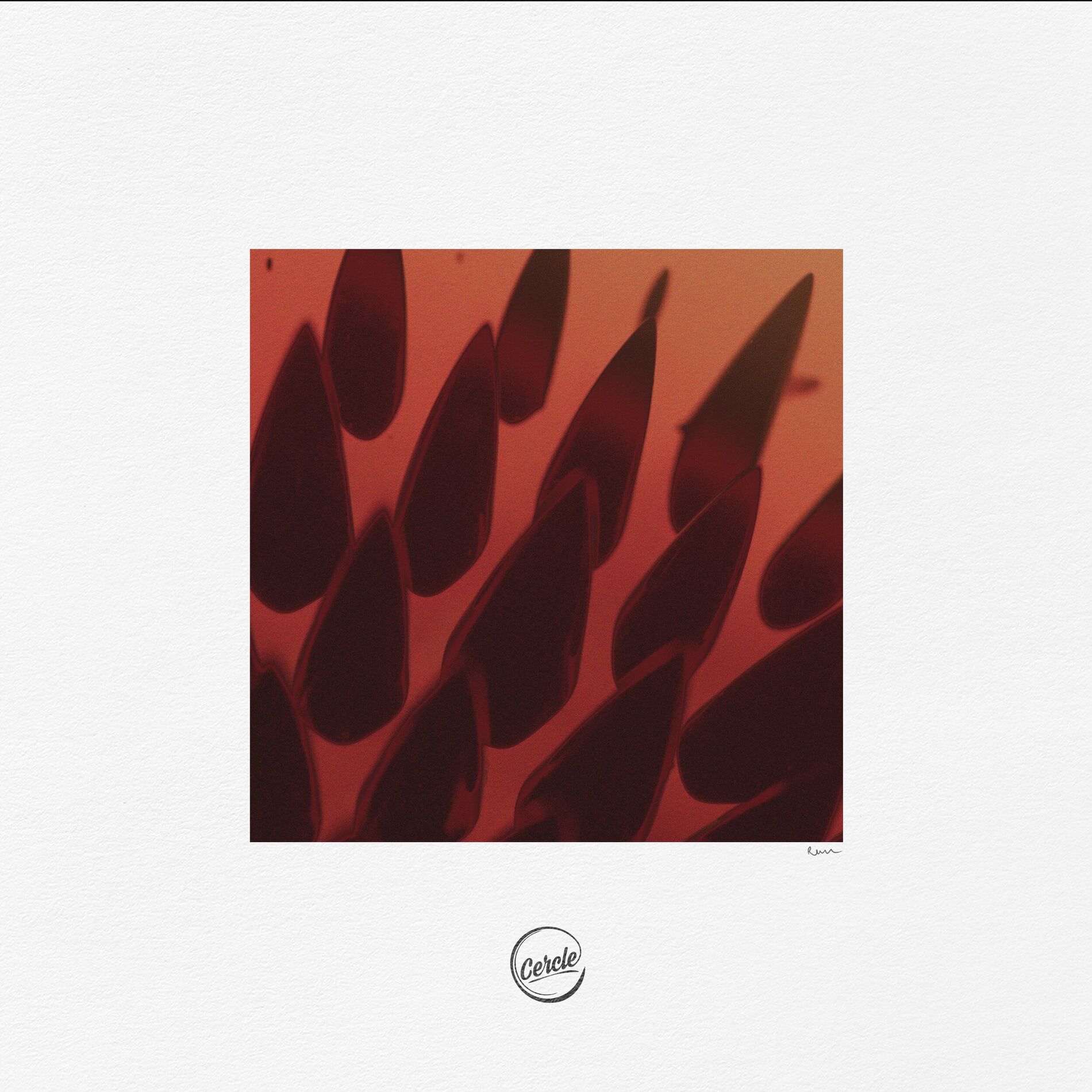 Album cover of Run