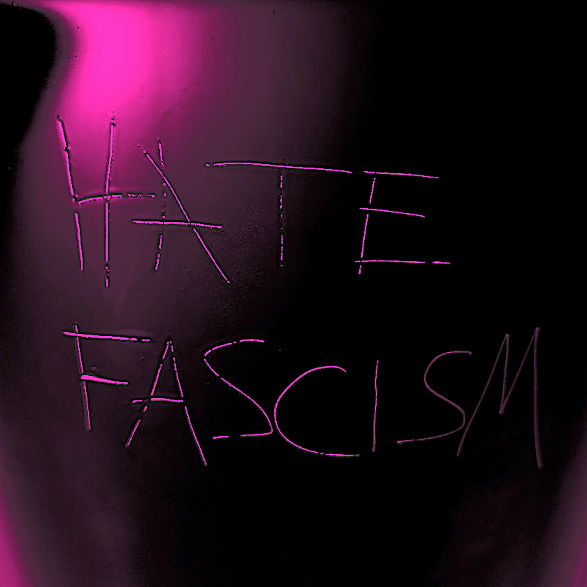 Album cover of The whole world hates fascists
