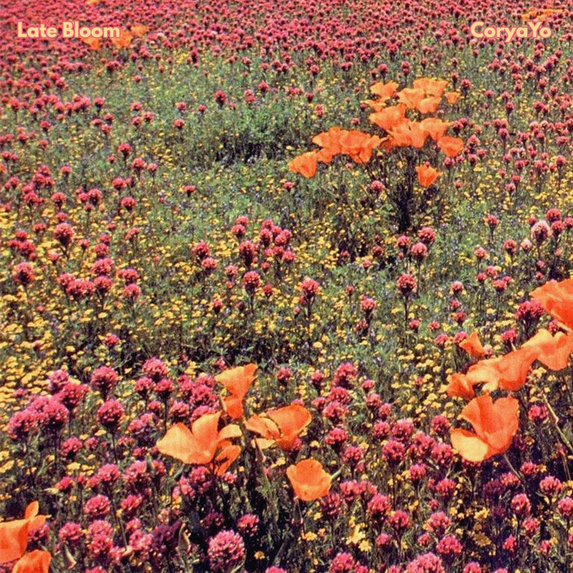 Album cover of Thriving