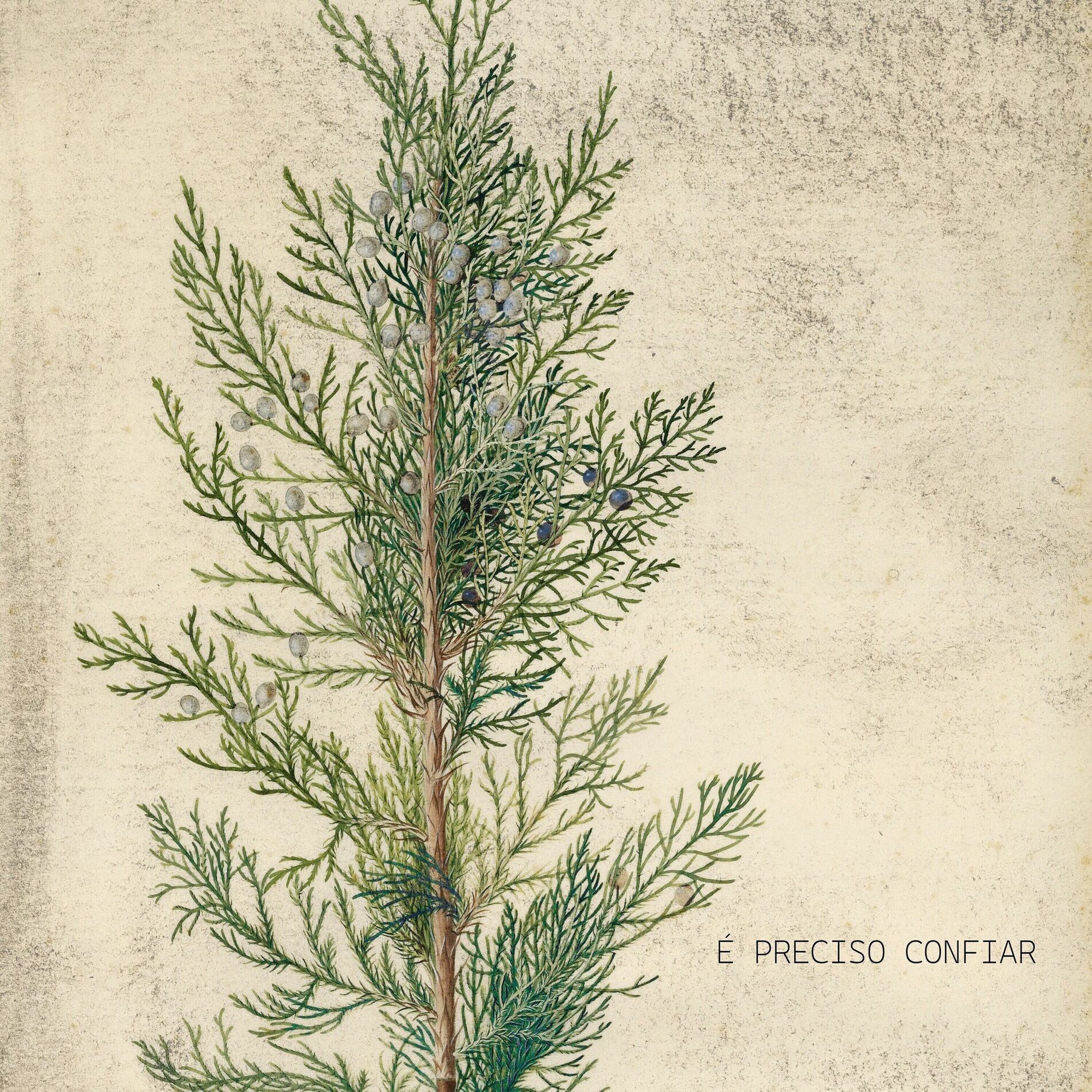 Album cover of É Preciso Confiar