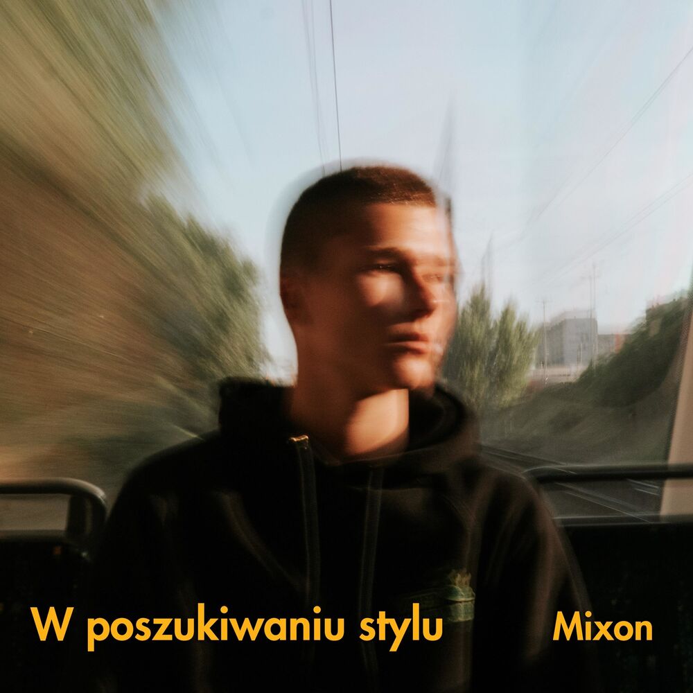 Picture of W poszukiwaniu stylu