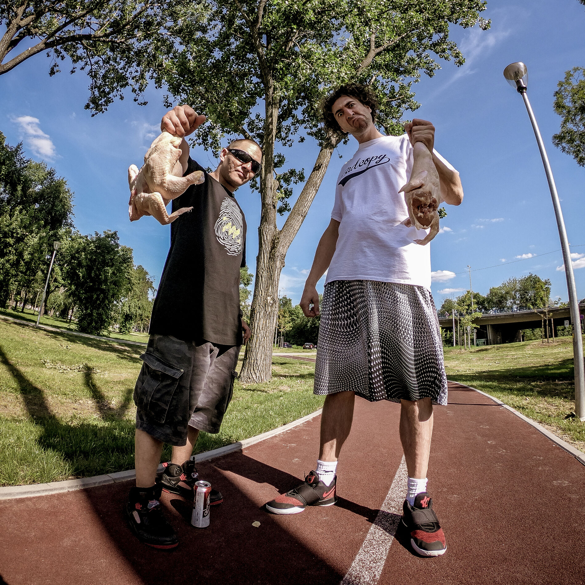 Album cover of Piletina ispod sača