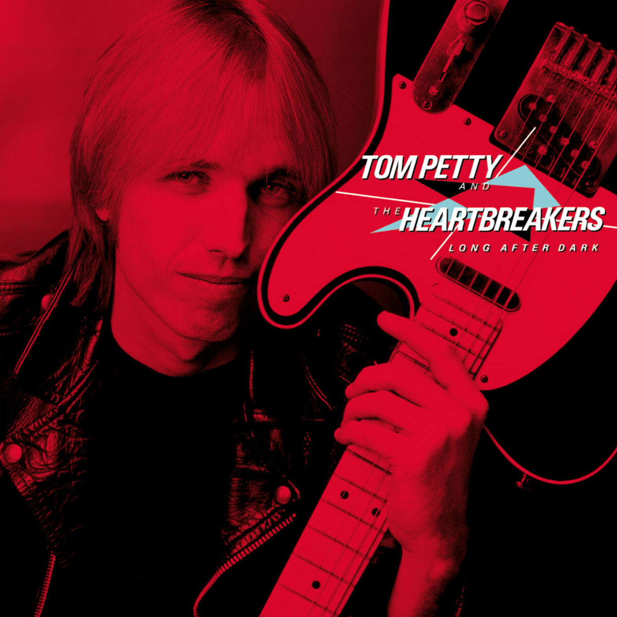 Album cover of Long After Dark