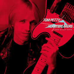 Cover of Long After Dark