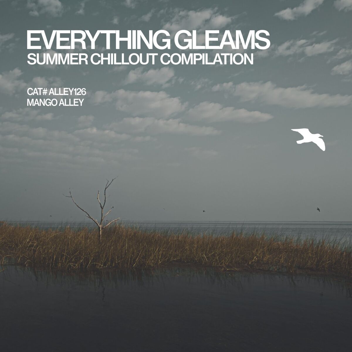 Album cover of Everything Gleams