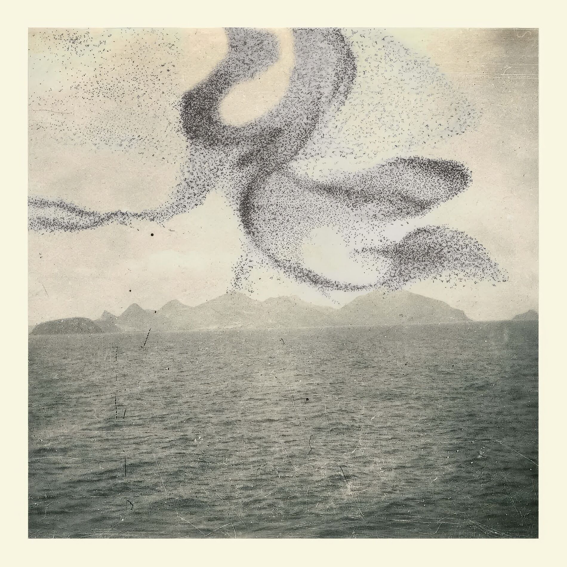 Album cover of A Small Murmuration