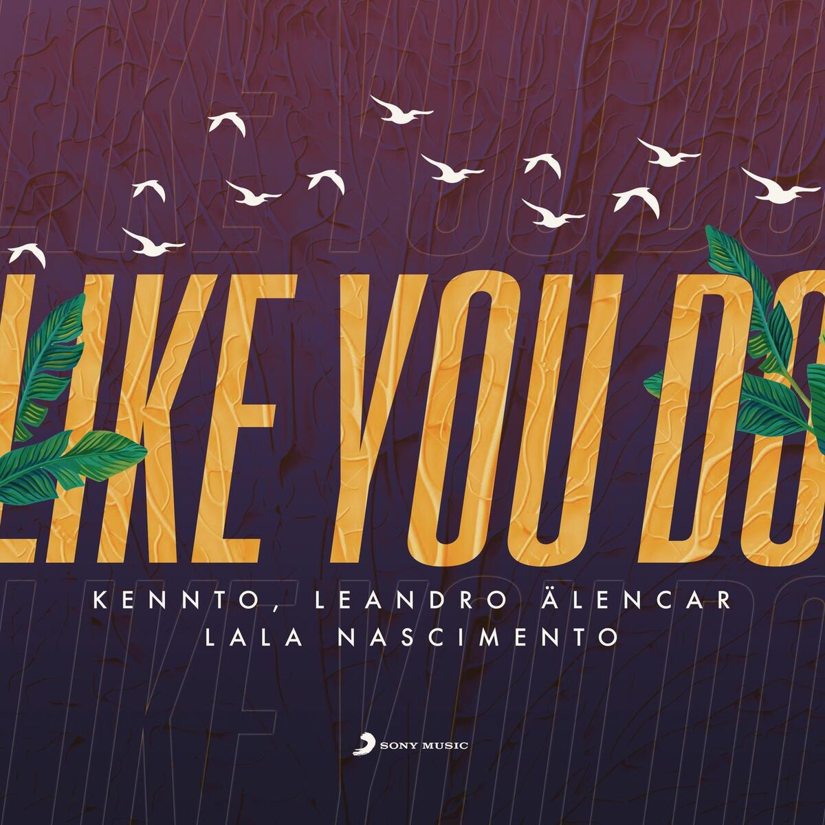 Album cover of Like You Do