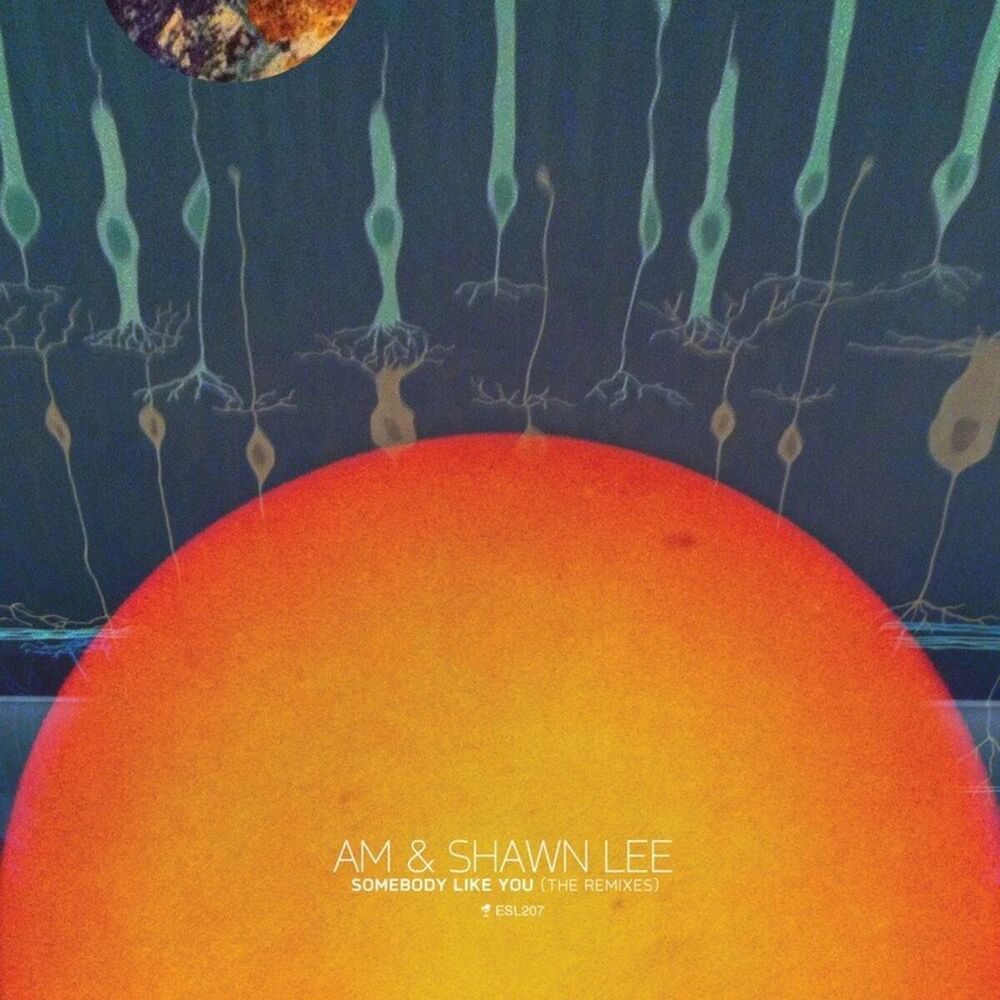 Picture of Somebody Like You (The Remixes)