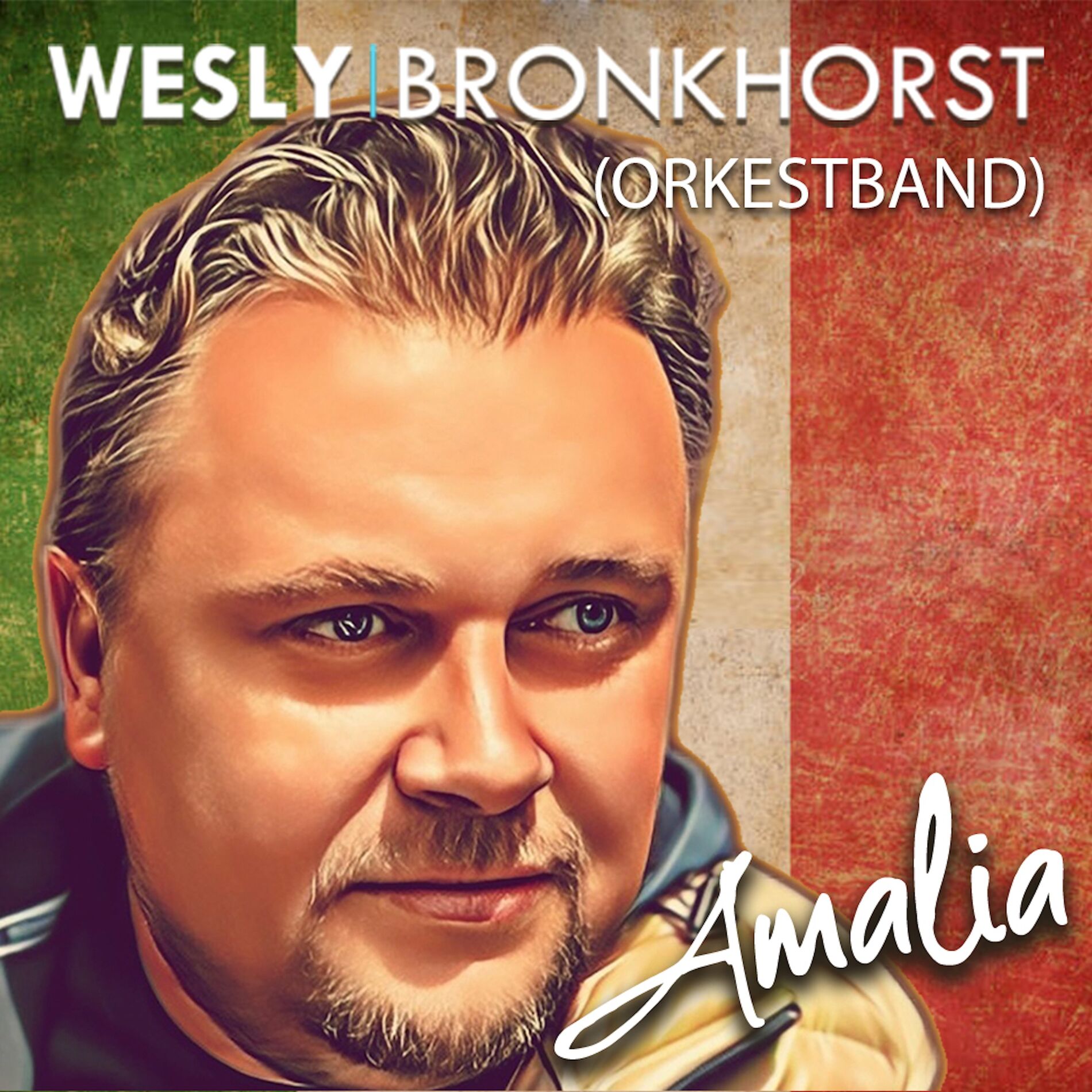 Album cover of Amalia (Orkestband)