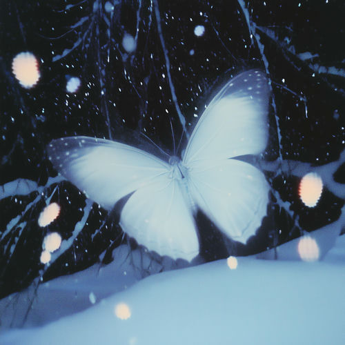 Moon Sujin – Alone Again (feat. THAMA) – Single