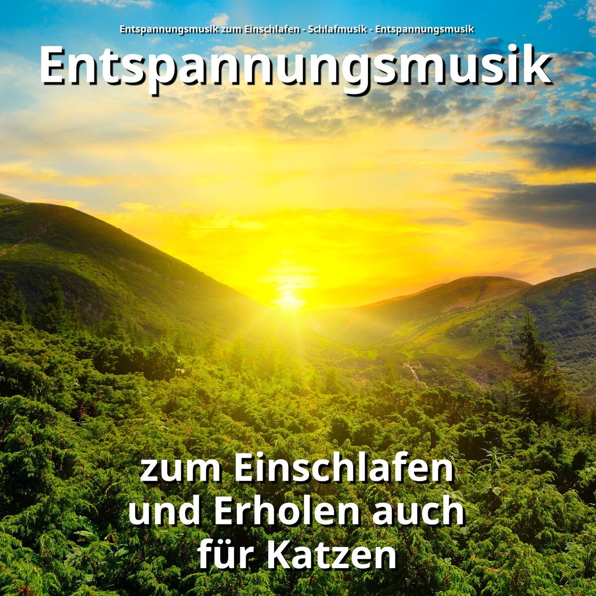 Album cover of New Age