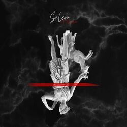 Cover of Salem