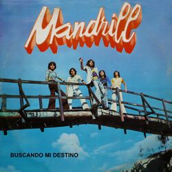 Cover of Buscando Mi Destino