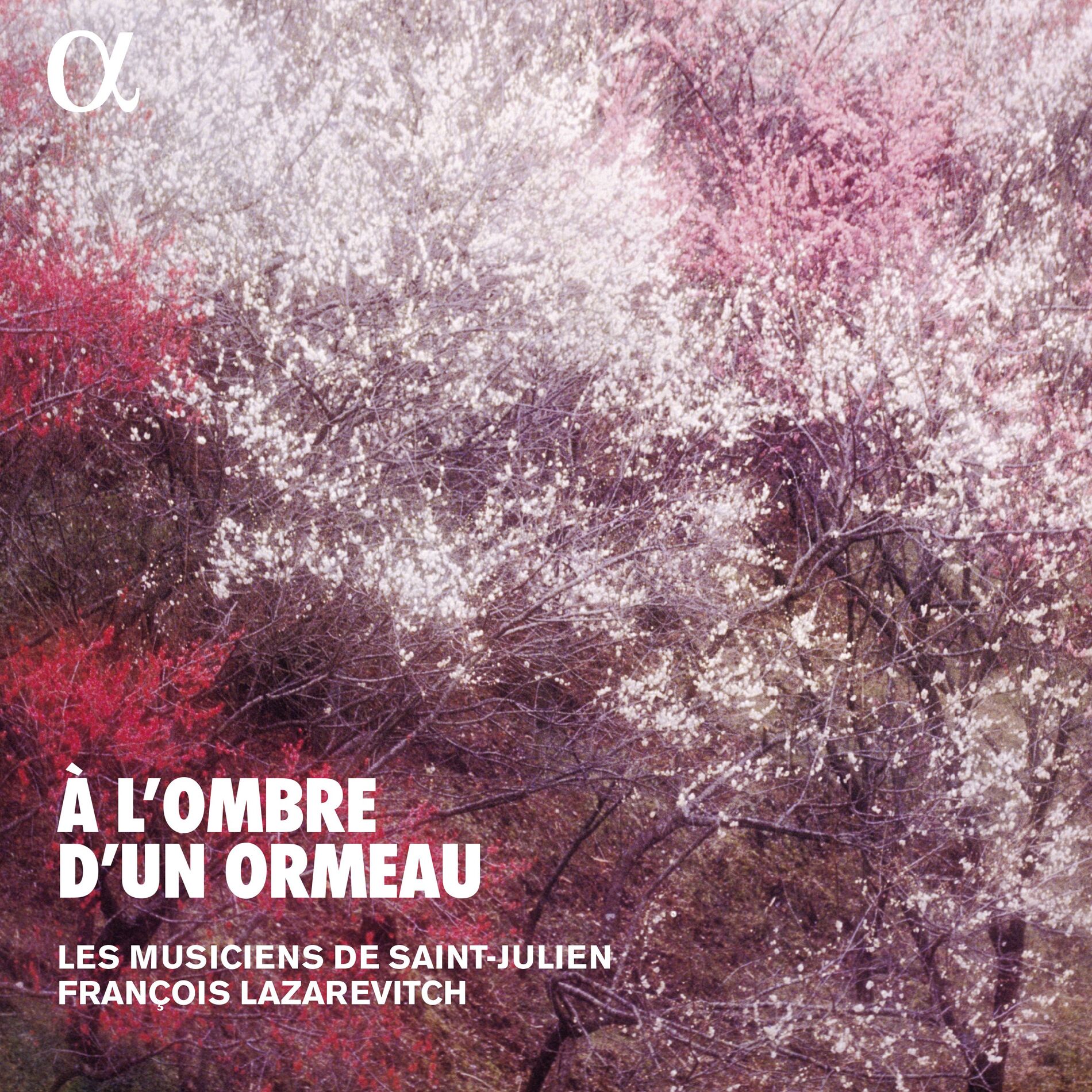 Album cover of Pourquoy doux rossignol