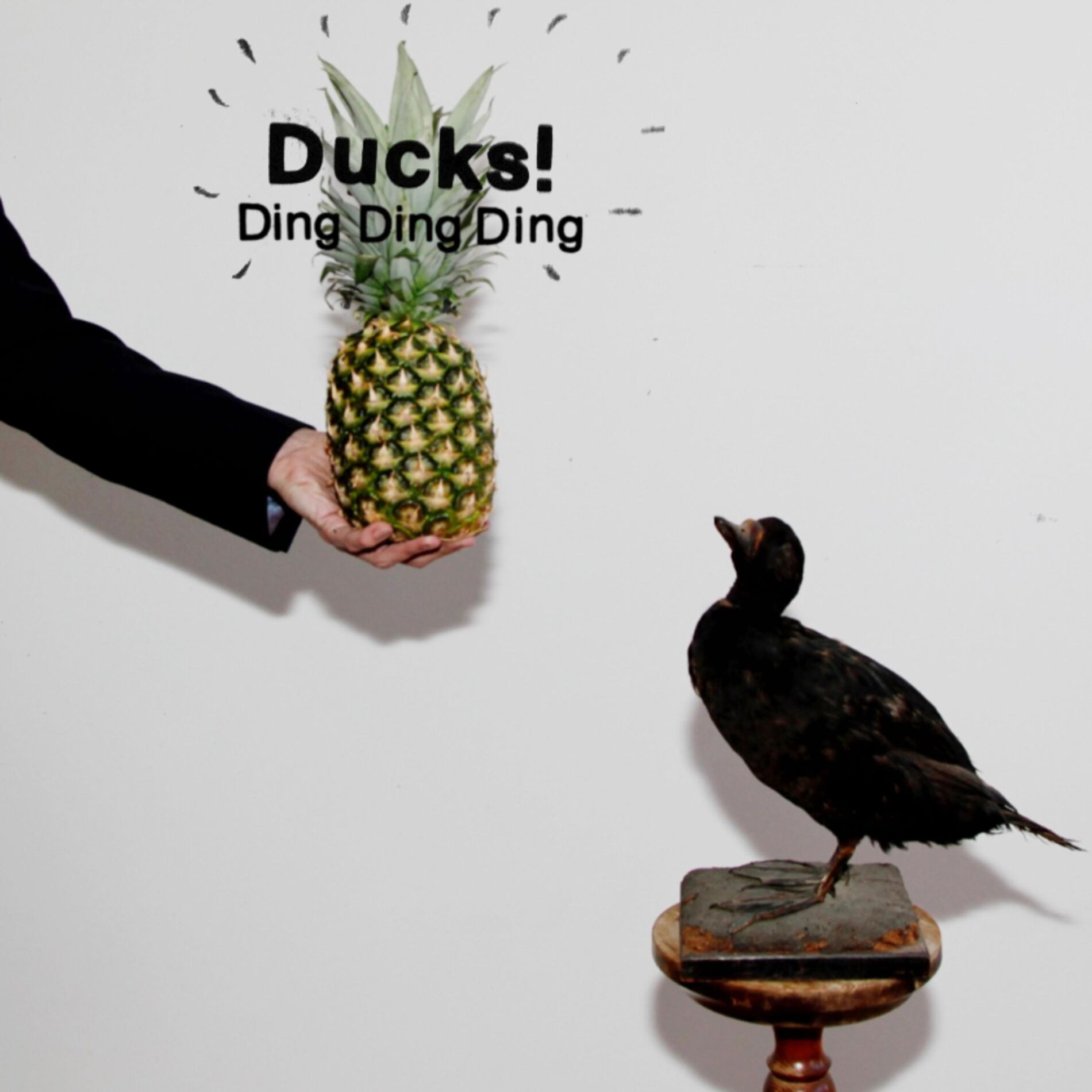 Album cover of Ding Ding Ding