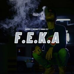 Cover of F.E.K.A