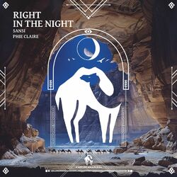 Cover of Right in the Night