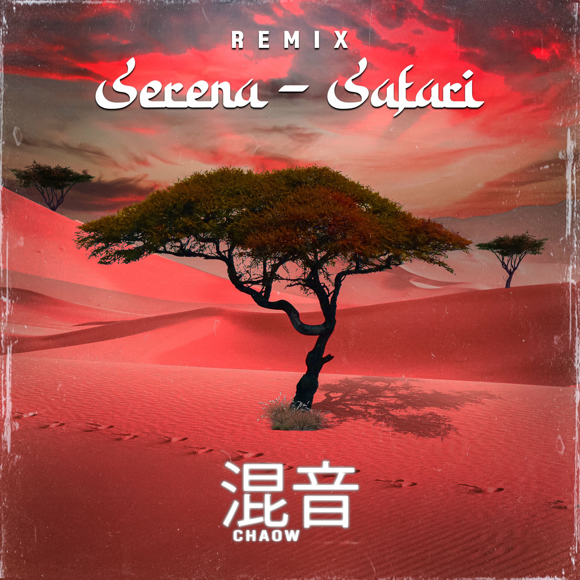 Serena: albums, songs, concerts | Deezer