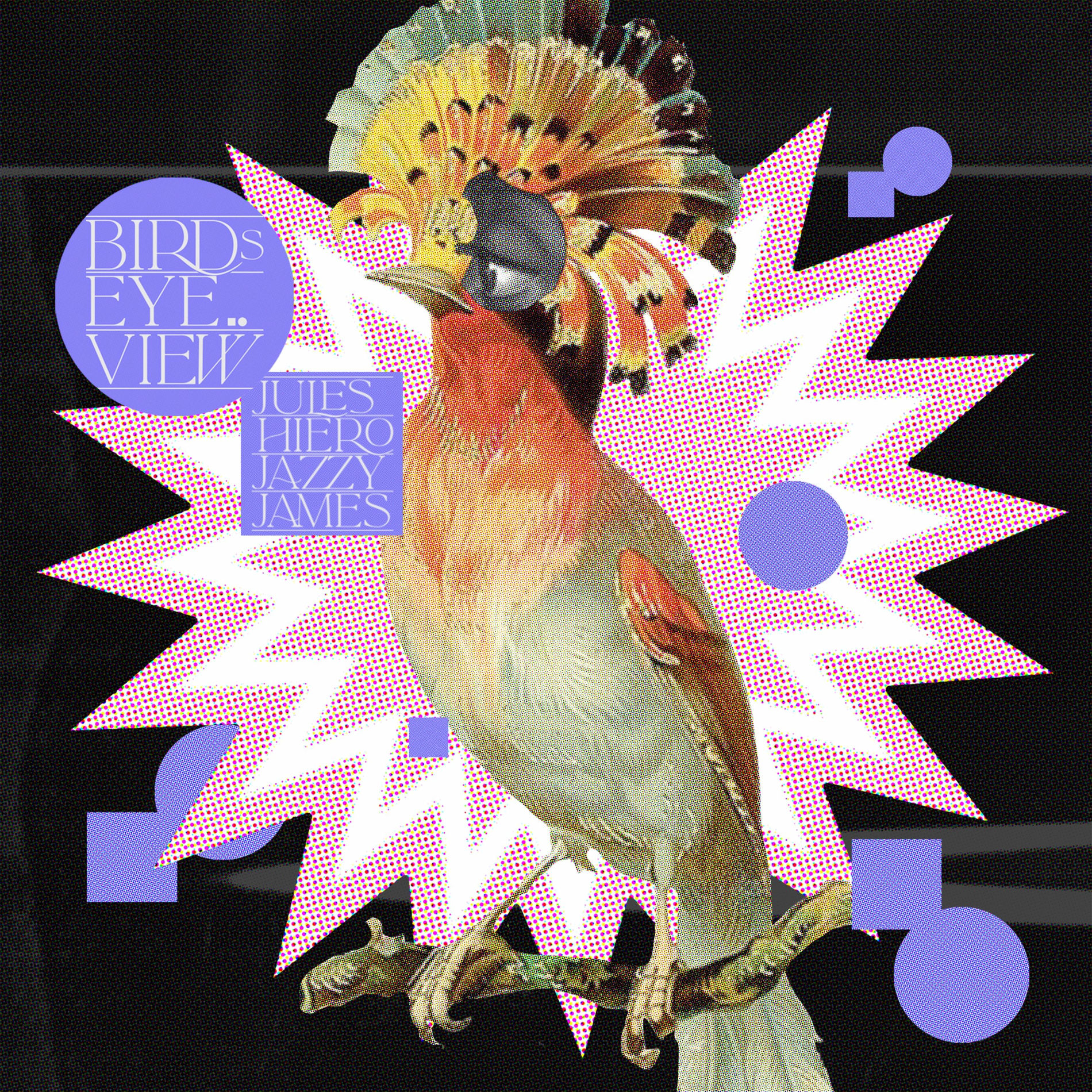 Album cover of Bird's Eye View