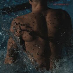 Cover of Fly